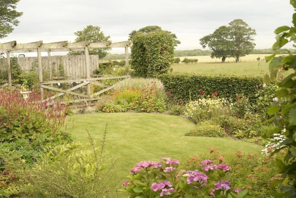 Northumberland Cottage B&B Acklington Εξωτερικό φωτογραφία